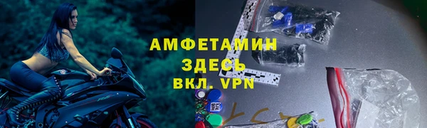 PSILOCYBIN Верхний Тагил