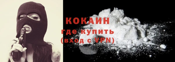 PSILOCYBIN Верхний Тагил