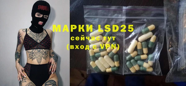 PSILOCYBIN Верхний Тагил